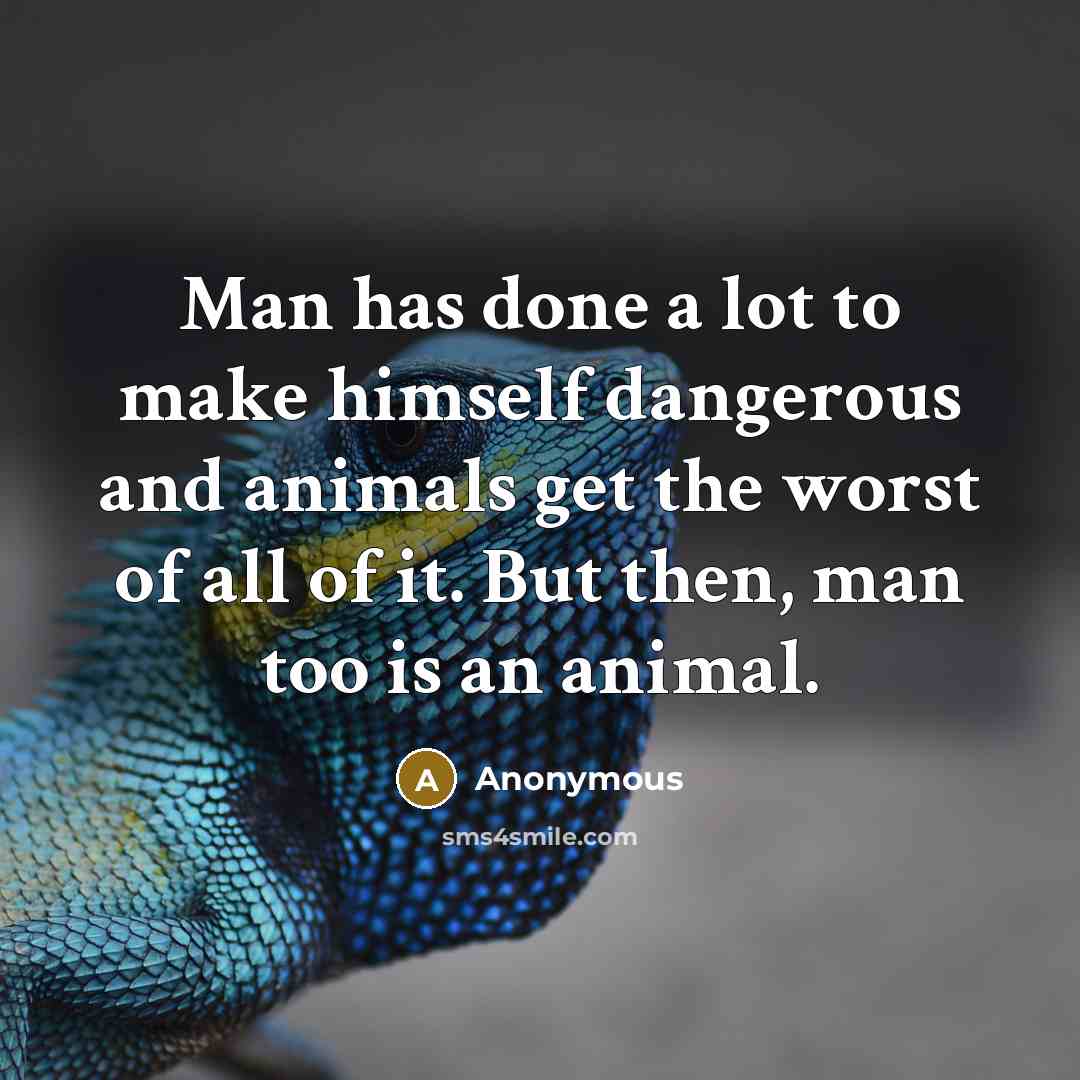 “Man has done a lot to make himself dangerous and animals get the worst of all of it. But then, man too is an animal.” quote by Anonymous