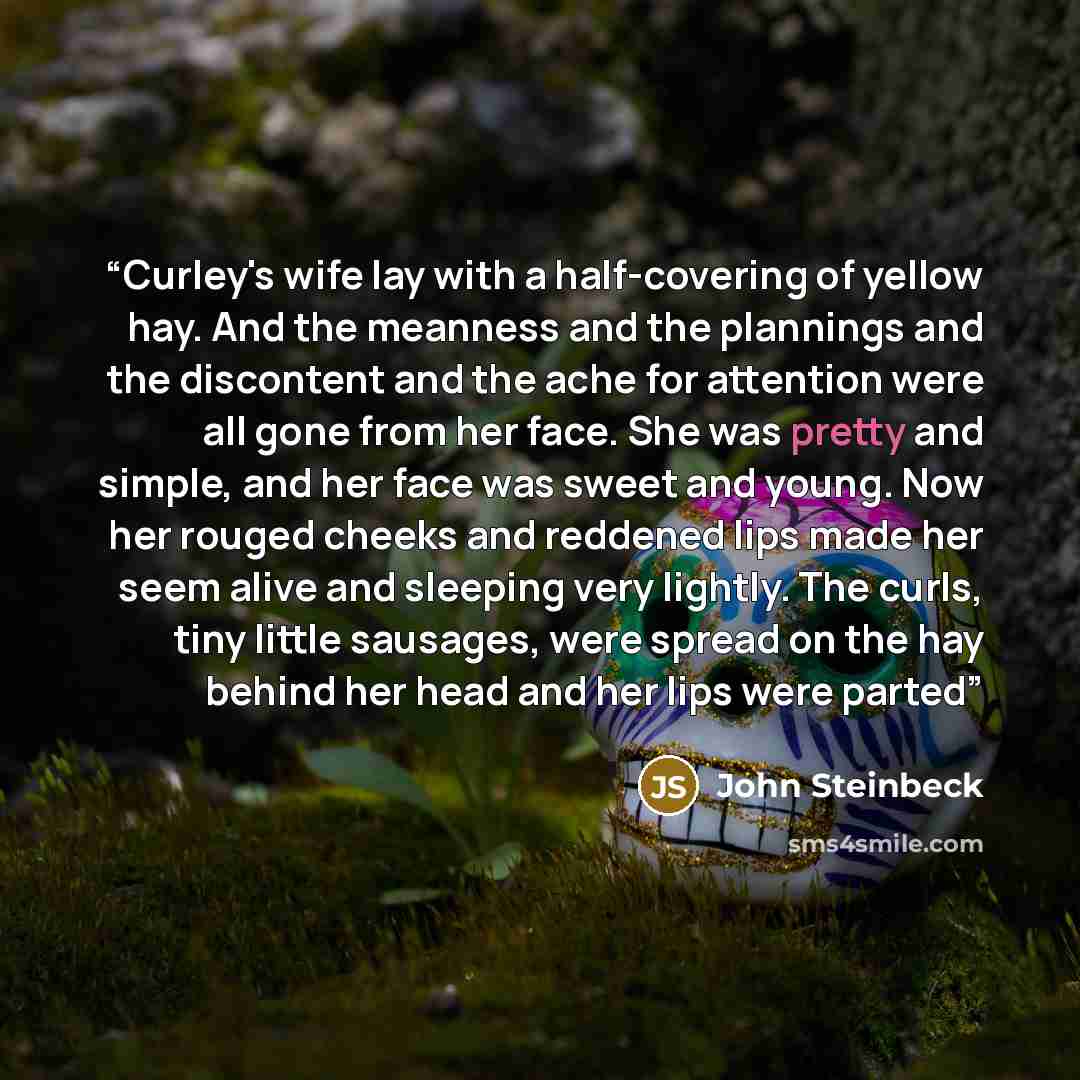 “Curley's wife lay with a half-covering of yellow hay. And the meanness and the plannings and the discontent and the ache for attention were all gone from her face. She was pretty and simple, and her face was sweet and young. Now her rouged cheeks and reddened lips made her seem alive and sleeping…” quote by John Steinbeck