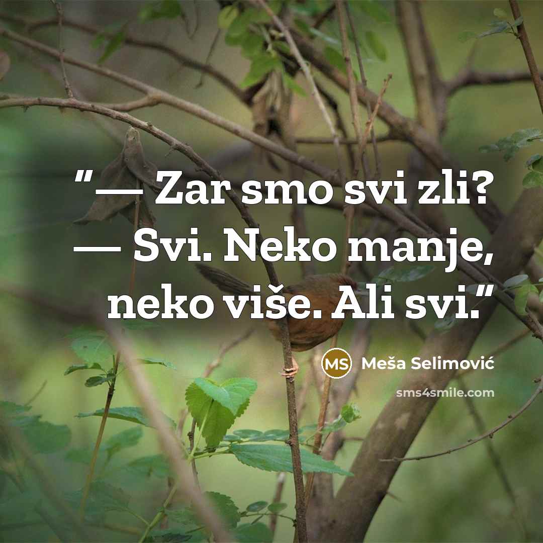 “— Zar smo svi zli? — Svi. Neko manje, neko više. Ali svi.” quote by Meša Selimović