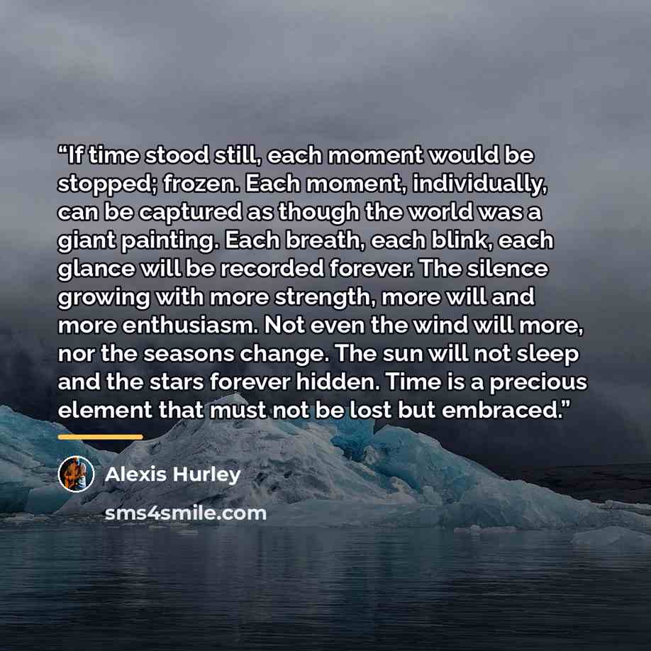 “If time stood still, each moment would be stopped; frozen. Each moment, individually, can be captured as though the world was a giant painting. Each breath, each blink, each glance will be recorded forever. The silence growing with more strength, more will and more enthusiasm. Not even the wind…” quote by Alexis Hurley