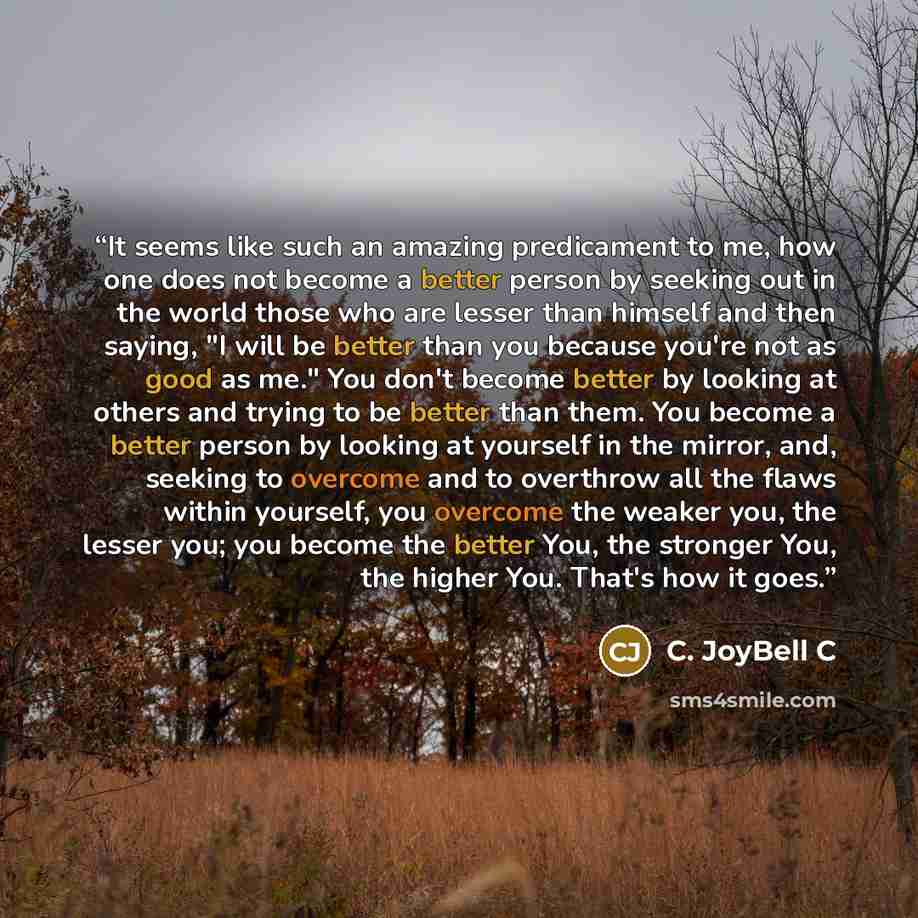 “It seems like such an amazing predicament to me, how one does not become a better person by seeking out in the world those who are lesser than himself and then saying, "I will be better than you because you're not as good as me." You don't become better by looking at others and trying to be better…” quote by C. JoyBell C