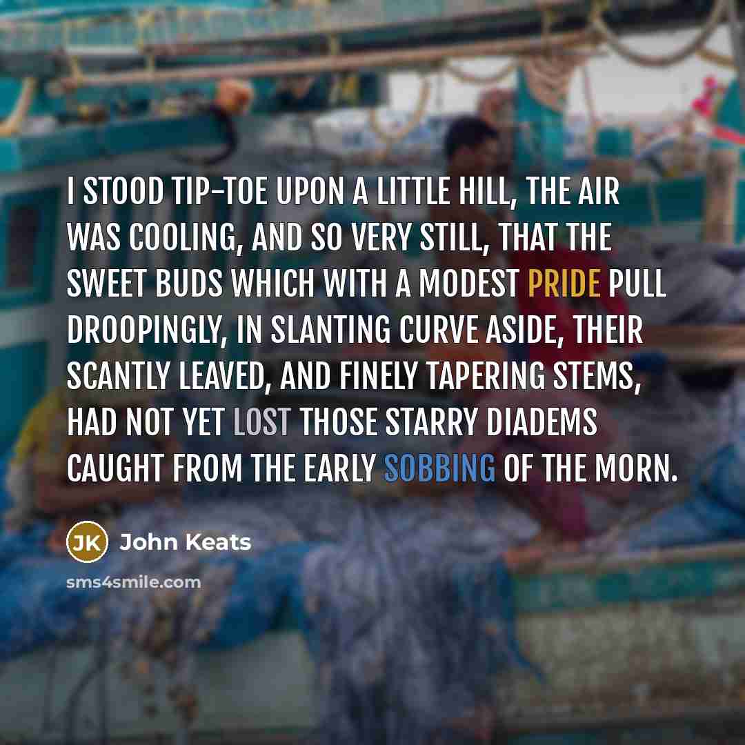 “I stood tip-toe upon a little hill, The air was cooling, and so very still, That the sweet buds which with a modest pride Pull droopingly, in slanting curve aside, Their scantly leaved, and finely tapering stems, Had not yet lost those starry diadems Caught from the early sobbing of the morn.” quote by John Keats