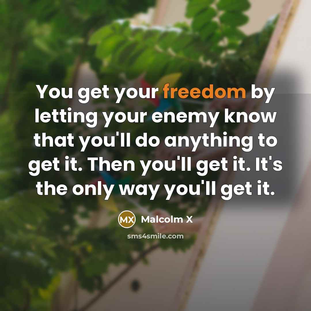 “You get your freedom by letting your enemy know that you'll do anything to get it. Then you'll get it. It's the only way you'll get it.” quote by Malcolm X