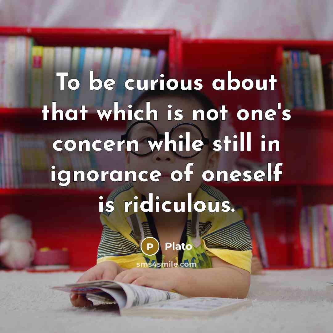 “To be curious about that which is not one's concern while still in ignorance of oneself is ridiculous.” quote by Plato