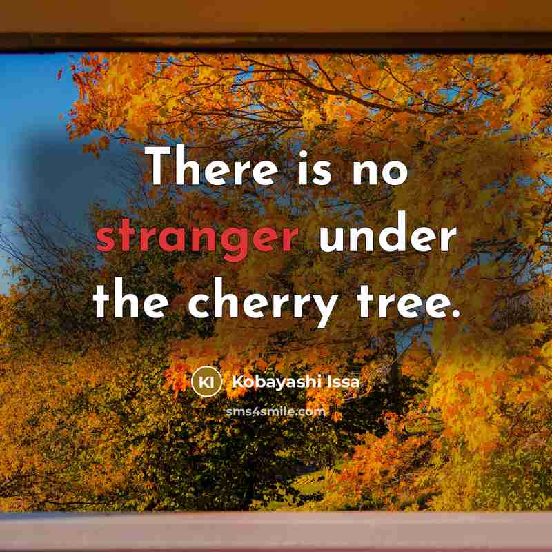 “There is no stranger under the cherry tree.” quote by Kobayashi Issa