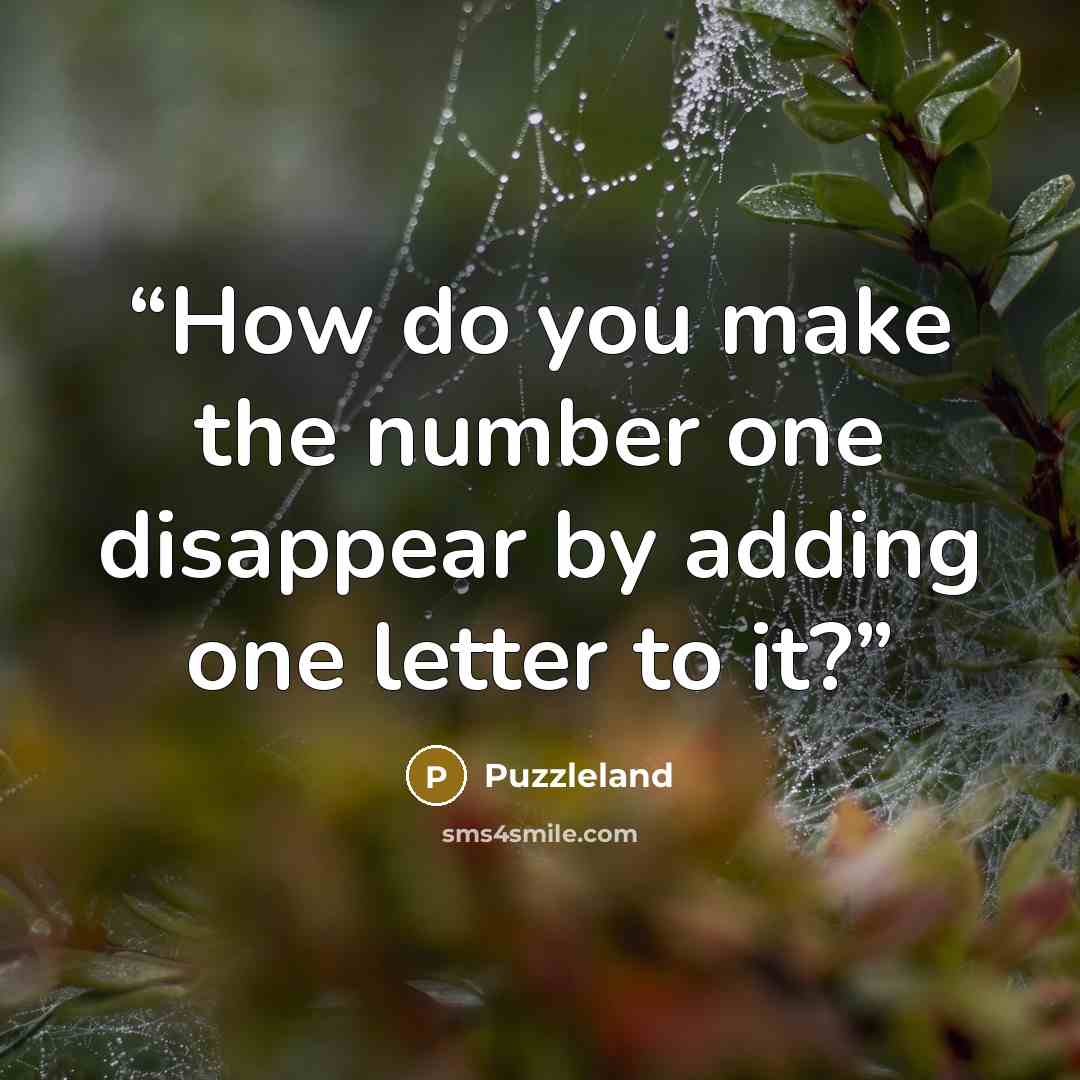 “How do you make the number one disappear by adding one letter to it?” quote by Puzzleland