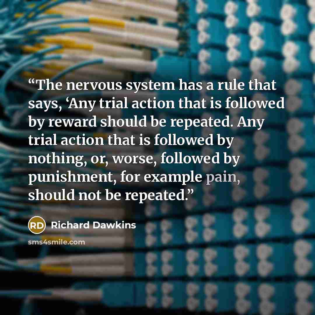 “The nervous system has a rule that says, ‘Any trial action that is followed by reward should be repeated. Any trial action that is followed by nothing, or, worse, followed by punishment, for example pain, should not be repeated.” quote by Richard Dawkins