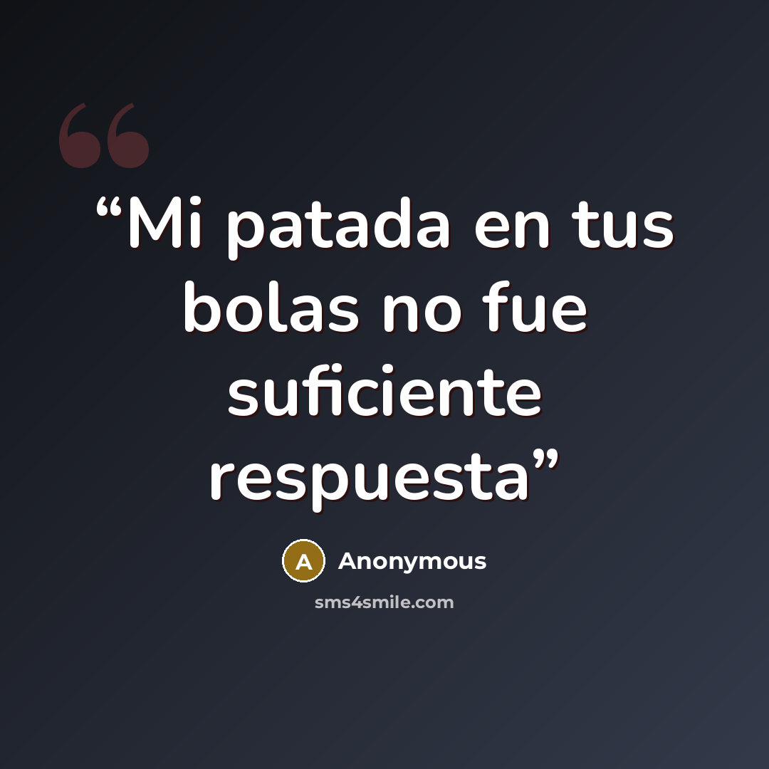 “Mi patada en tus bolas no fue suficiente respuesta” quote by Anonymous