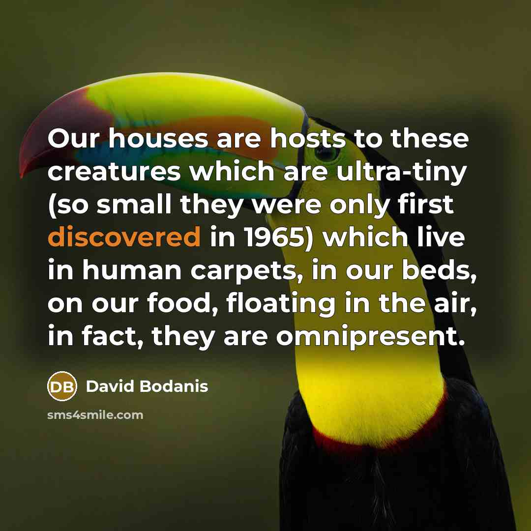 “Our houses are hosts to these creatures which are ultra-tiny (so small they were only first discovered in 1965) which live in human carpets, in our beds, on our food, floating in the air, in fact, they are omnipresent.” quote by David Bodanis