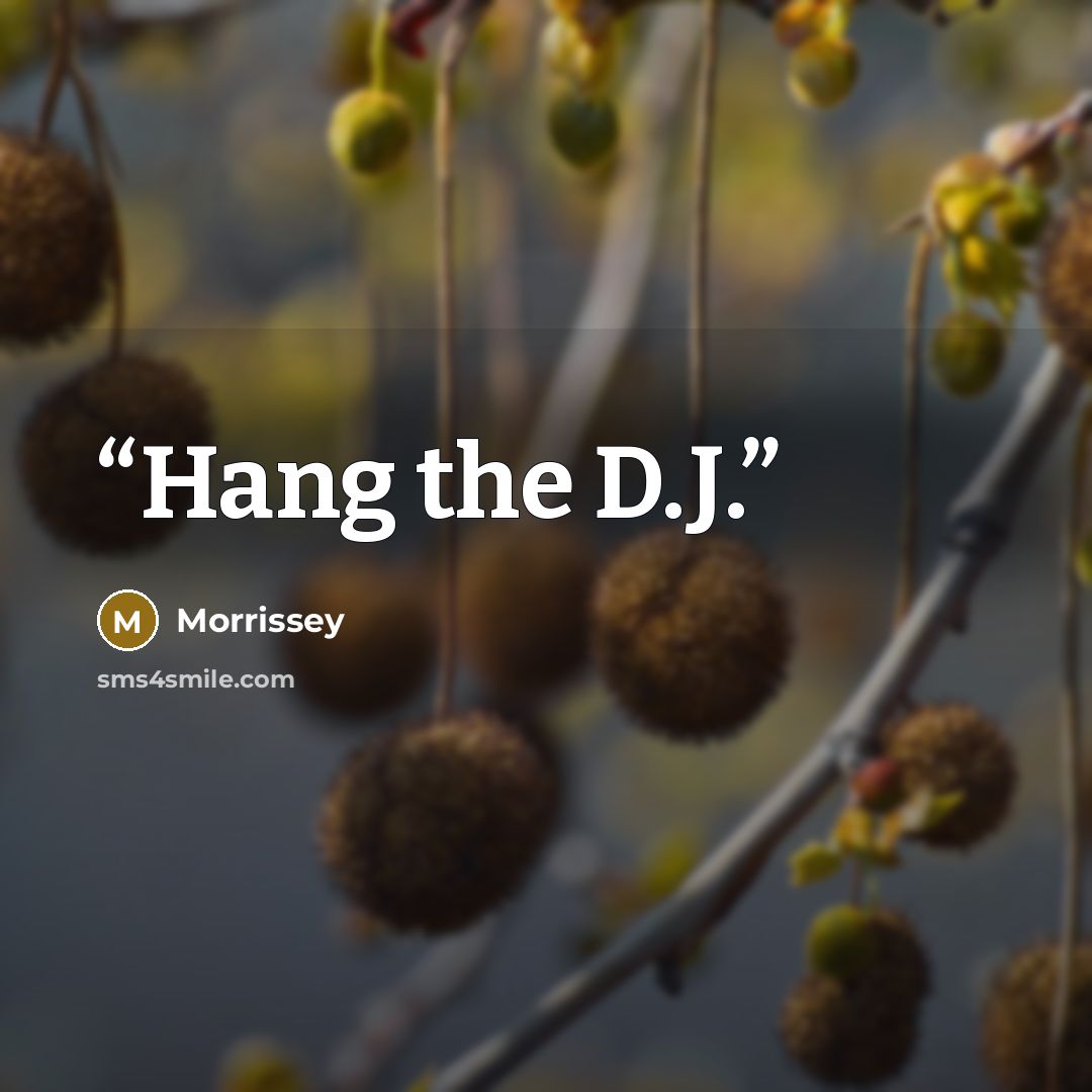 “Hang the D.J.” quote by Morrissey