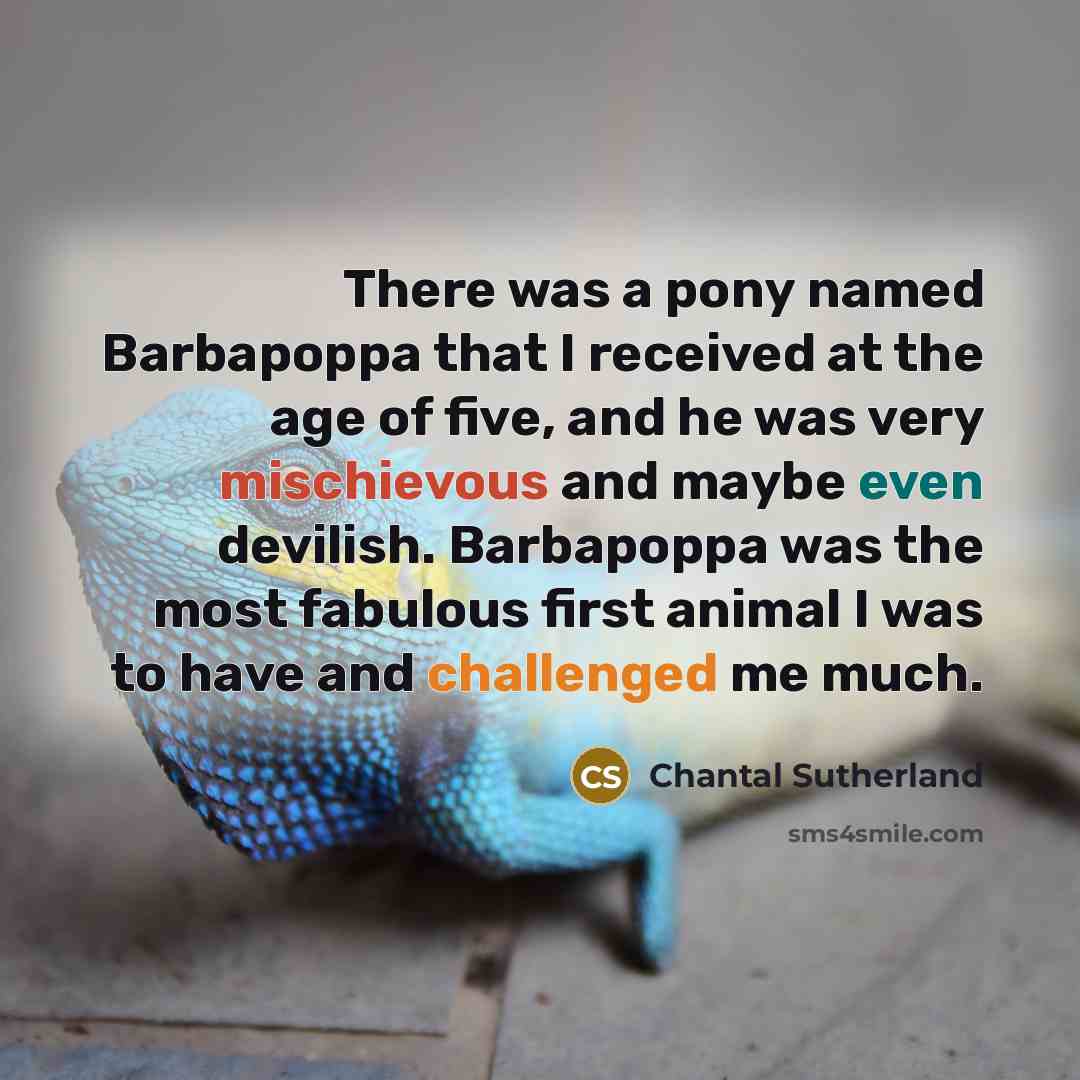“There was a pony named Barbapoppa that I received at the age of five, and he was very mischievous and maybe even devilish. Barbapoppa was the most fabulous first animal I was to have and challenged me much.” quote by Chantal Sutherland