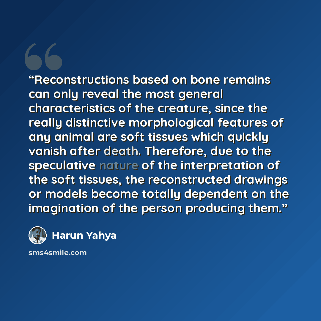 “Reconstructions based on bone remains can only reveal the most general characteristics of the creature, since the really distinctive morphological features of any animal are soft tissues which quickly vanish after death. Therefore, due to the speculative nature of the interpretation of the soft…” quote by Harun Yahya