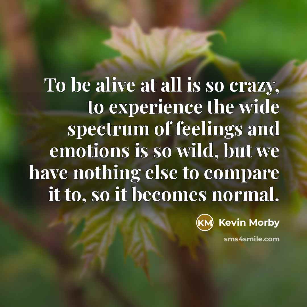 “To be alive at all is so crazy, to experience the wide spectrum of feelings and emotions is so wild, but we have nothing else to compare it to, so it becomes normal.” quote by Kevin Morby
