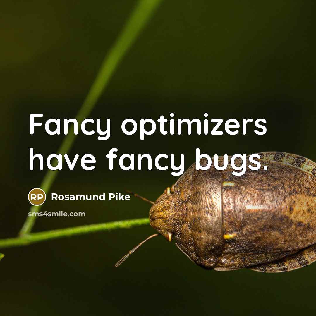 “Fancy optimizers have fancy bugs.” quote by Rosamund Pike