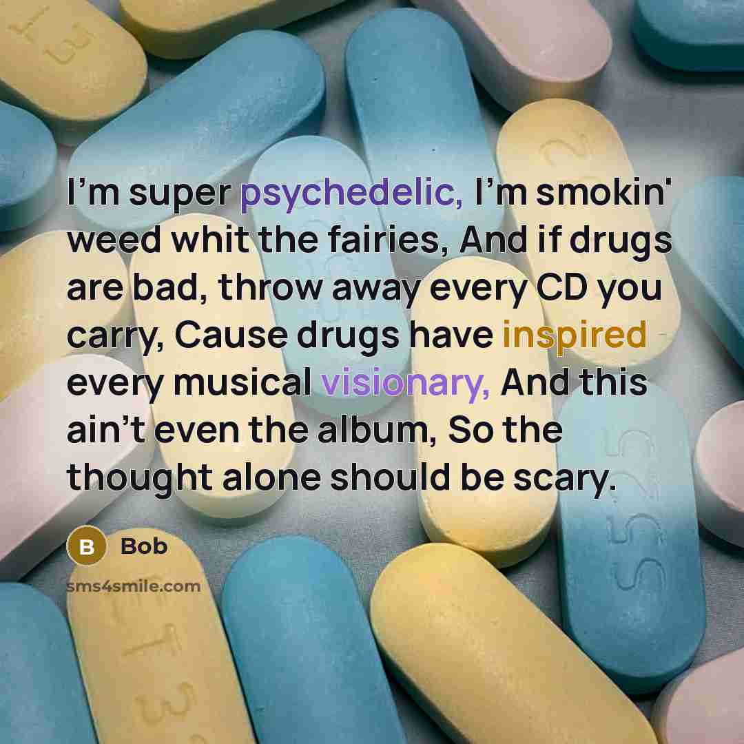 “I'm super psychedelic, I'm smokin' weed whit the fairies, And if drugs are bad, throw away every CD you carry, Cause drugs have inspired every musical visionary, And this ain't even the album, So the thought alone should be scary.” quote by BOB