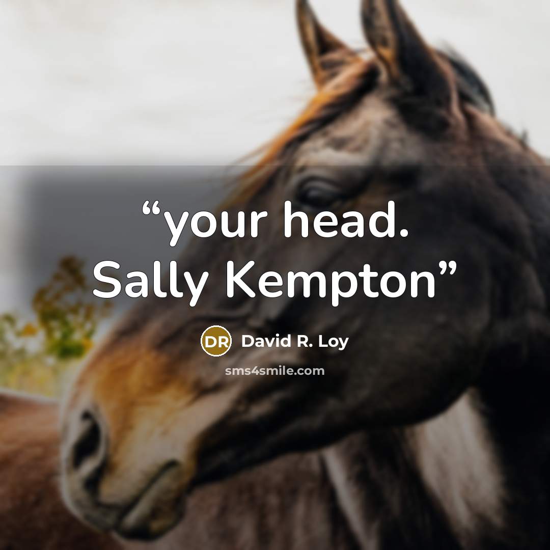 “your head. Sally Kempton” quote by David R. Loy