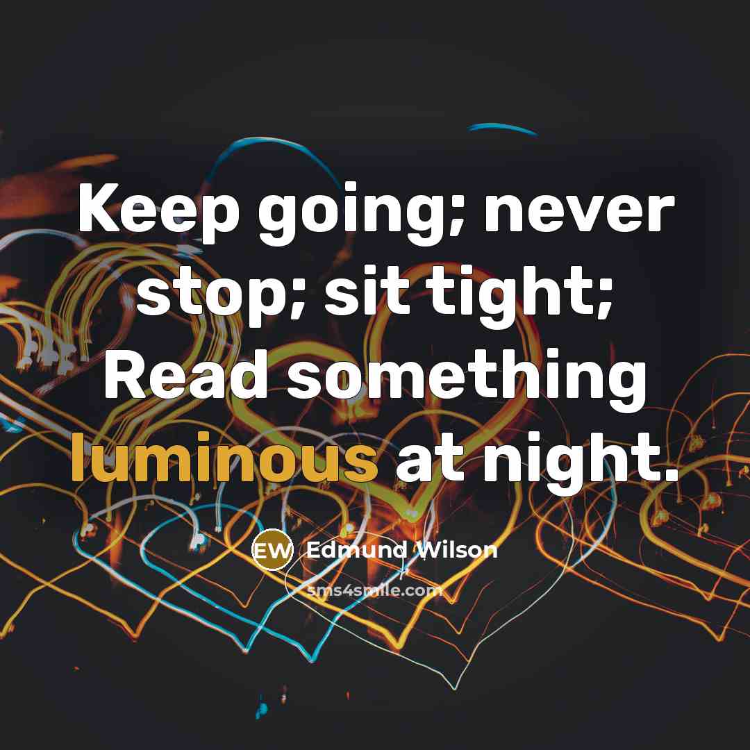 “Keep going; never stop; sit tight; Read something luminous at night.” quote by Edmund Wilson