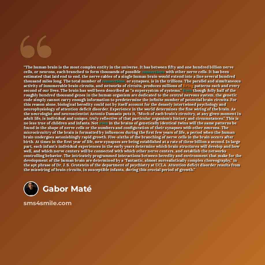 “The human brain is the most complex entity in the universe. It has between fifty and one hundred billion nerve cells, or neurons, each branched to form thousands of possible connections with other nerve cells. It has been estimated that laid end to end, the nerve cables of a single human brain…” quote by Gabor Maté