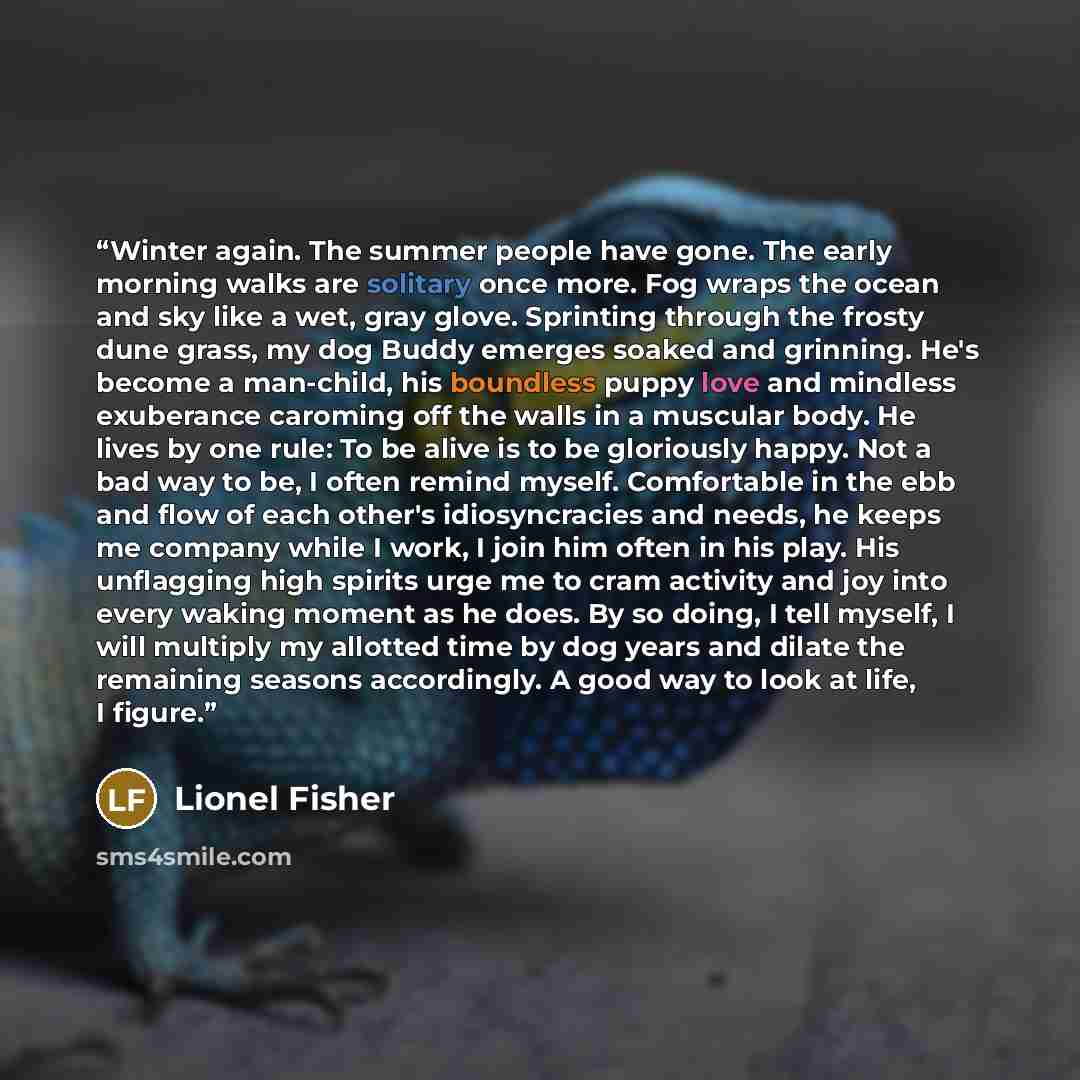 “Winter again. The summer people have gone. The early morning walks are solitary once more. Fog wraps the ocean and sky like a wet, gray glove. Sprinting through the frosty dune grass, my dog Buddy emerges soaked and grinning. He's become a man-child, his boundless puppy love and mindless…” quote by Lionel Fisher