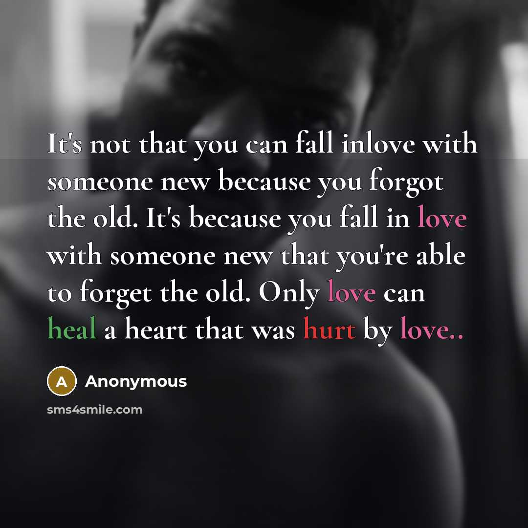 “It's not that you can fall inlove with someone new because you forgot the old. It's because you fall in love with someone new that you're able to forget the old. Only love can heal a heart that was hurt by love..” quote by Anonymous