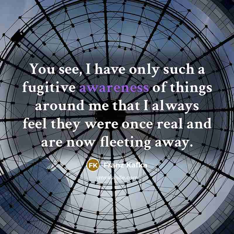“You see, I have only such a fugitive awareness of things around me that I always feel they were once real and are now fleeting away.” quote by Franz Kafka