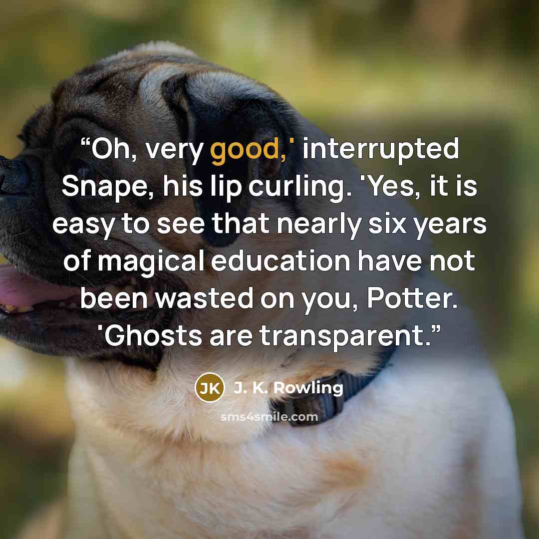 “Oh, very good,' interrupted Snape, his lip curling. 'Yes, it is easy to see that nearly six years of magical education have not been wasted on you, Potter. 'Ghosts are transparent.” quote by J. K. Rowling