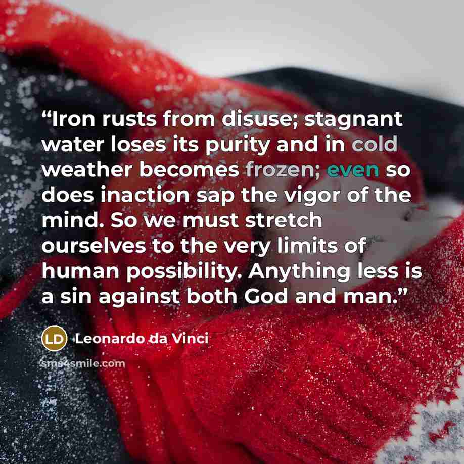 “Iron rusts from disuse; stagnant water loses its purity and in cold weather becomes frozen; even so does inaction sap the vigor of the mind. So we must stretch ourselves to the very limits of human possibility. Anything less is a sin against both God and man.” quote by Leonardo da Vinci