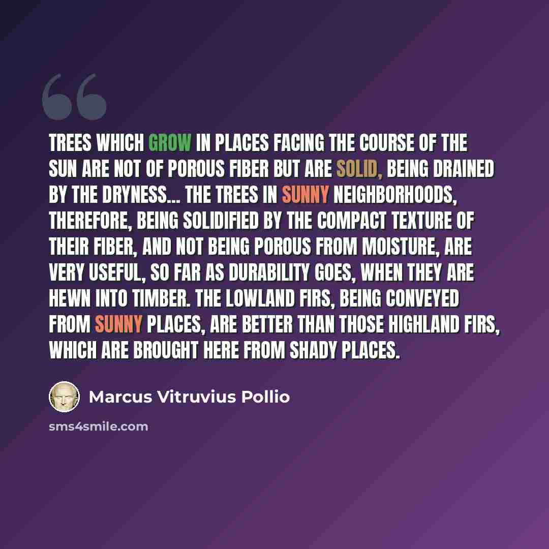 “Trees which grow in places facing the course of the sun are not of porous fiber but are solid, being drained by the dryness... The trees in sunny neighborhoods, therefore, being solidified by the compact texture of their fiber, and not being porous from moisture, are very useful, so far as…” quote by Marcus Vitruvius Pollio