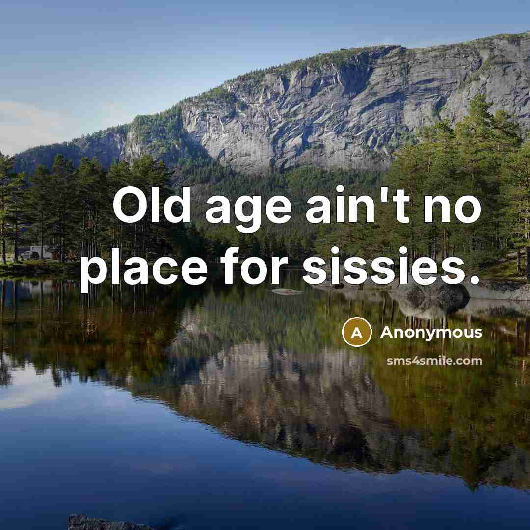 “Old age ain't no place for sissies.” quote by Anonymous