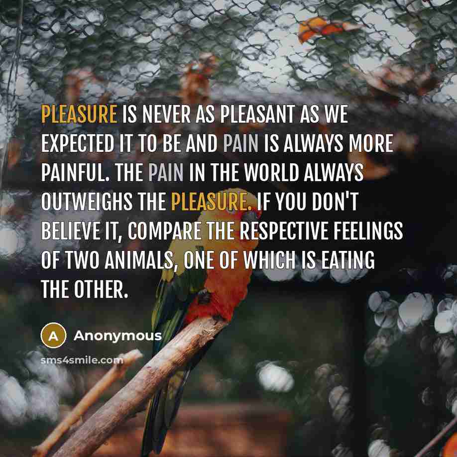 “Pleasure is never as pleasant as we expected it to be and pain is always more painful. The pain in the world always outweighs the pleasure. If you don't believe it, compare the respective feelings of two animals, one of which is eating the other.” quote by Anonymous