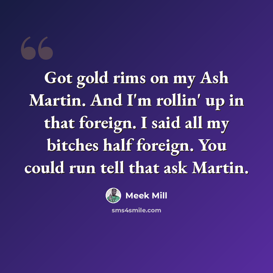 “Got gold rims on my Ash Martin. And I'm rollin' up in that foreign. I said all my bitches half foreign. You could run tell that ask Martin.” quote by Meek Mill