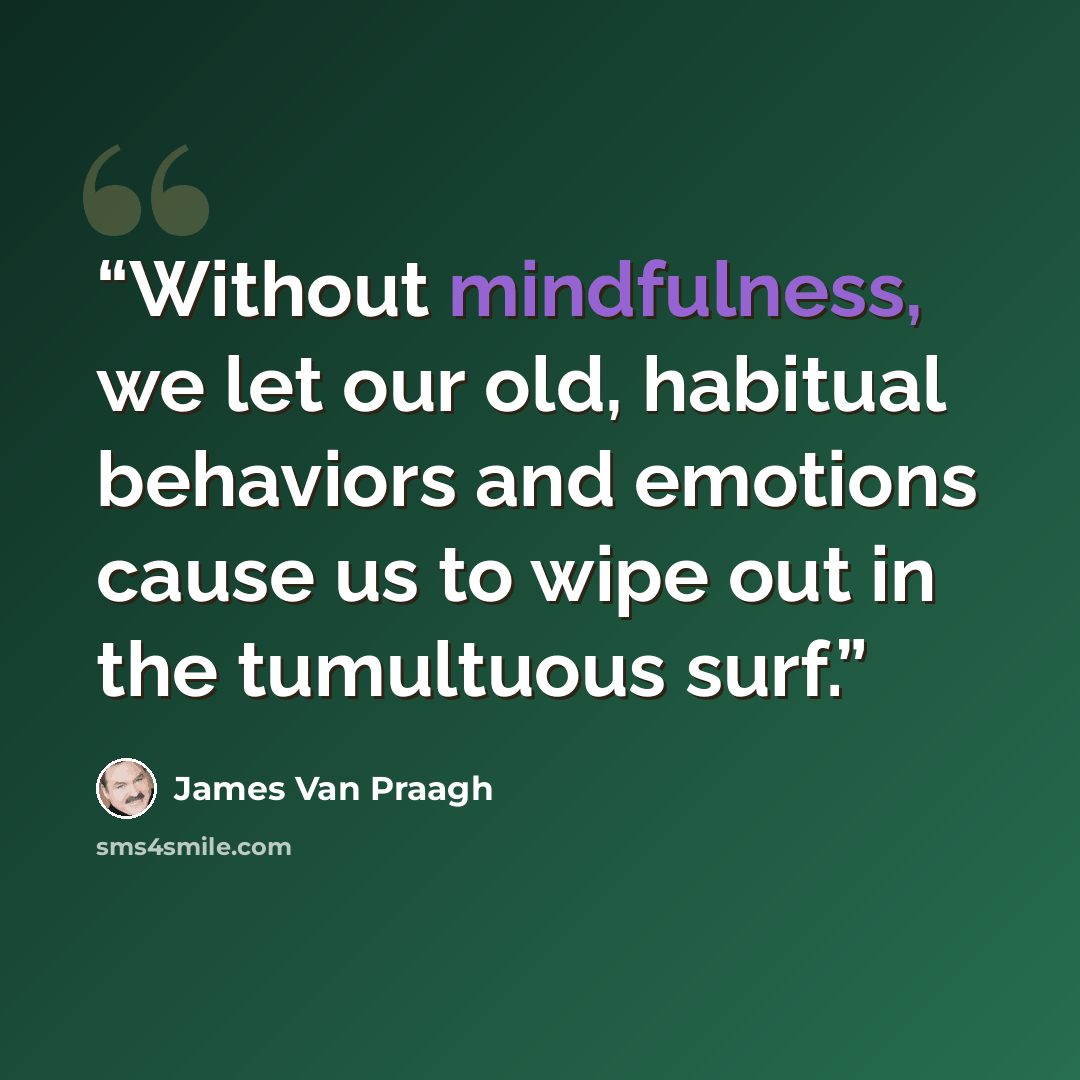 “Without mindfulness, we let our old, habitual behaviors and emotions cause us to wipe out in the tumultuous surf.” quote by James Van Praagh