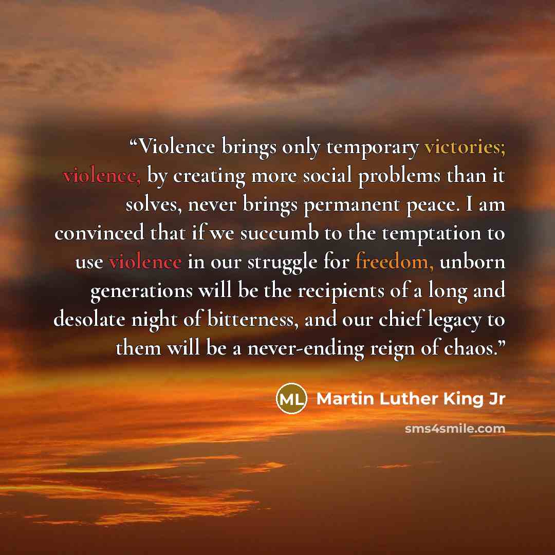 “Violence brings only temporary victories; violence, by creating more social problems than it solves, never brings permanent peace. I am convinced that if we succumb to the temptation to use violence in our struggle for freedom, unborn generations will be the recipients of a long and desolate night…” quote by Martin Luther King Jr
