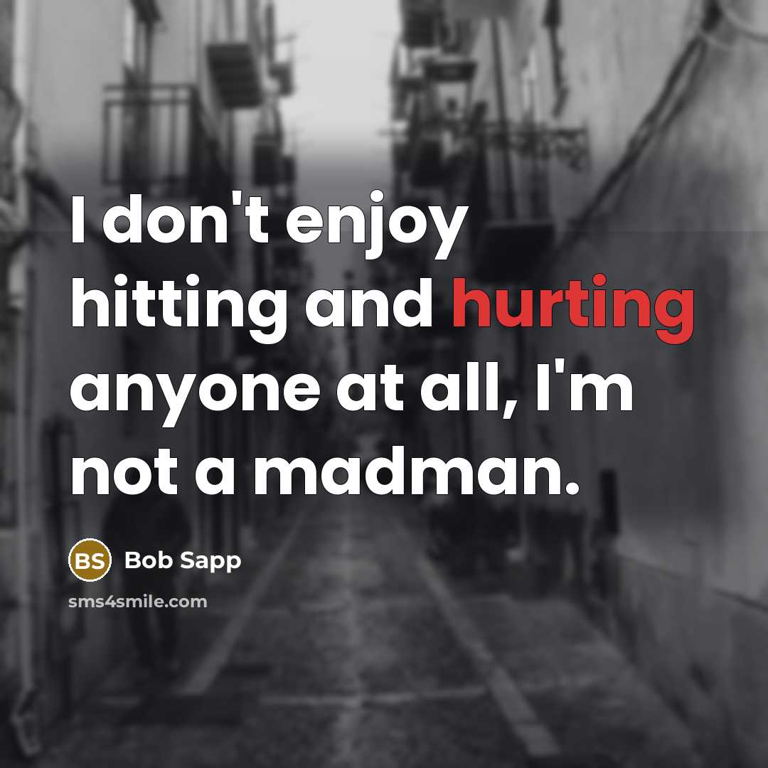 “I don't enjoy hitting and hurting anyone at all, I'm not a madman.” quote by Bob Sapp