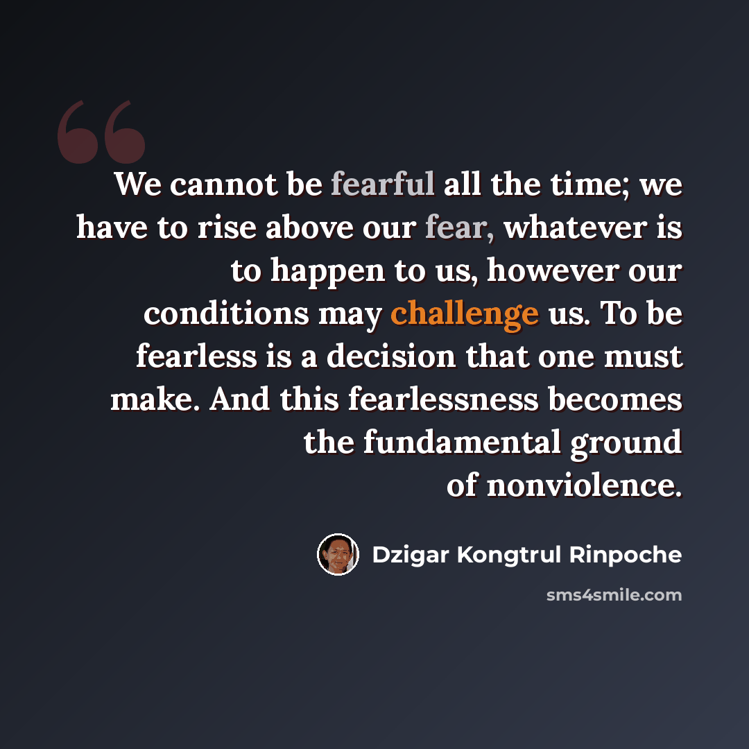 “We cannot be fearful all the time; we have to rise above our fear, whatever is to happen to us, however our conditions may challenge us. To be fearless is a decision that one must make. And this fearlessness becomes the fundamental ground of nonviolence.” quote by Dzigar Kongtrul Rinpoche