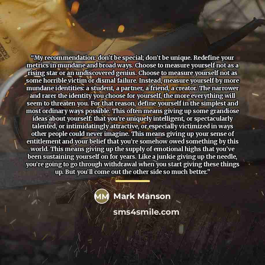“My recommendation: don’t be special; don’t be unique. Redefine your metrics in mundane and broad ways. Choose to measure yourself not as a rising star or an undiscovered genius. Choose to measure yourself not as some horrible victim or dismal failure. Instead, measure yourself by more mundane…” quote by Mark Manson