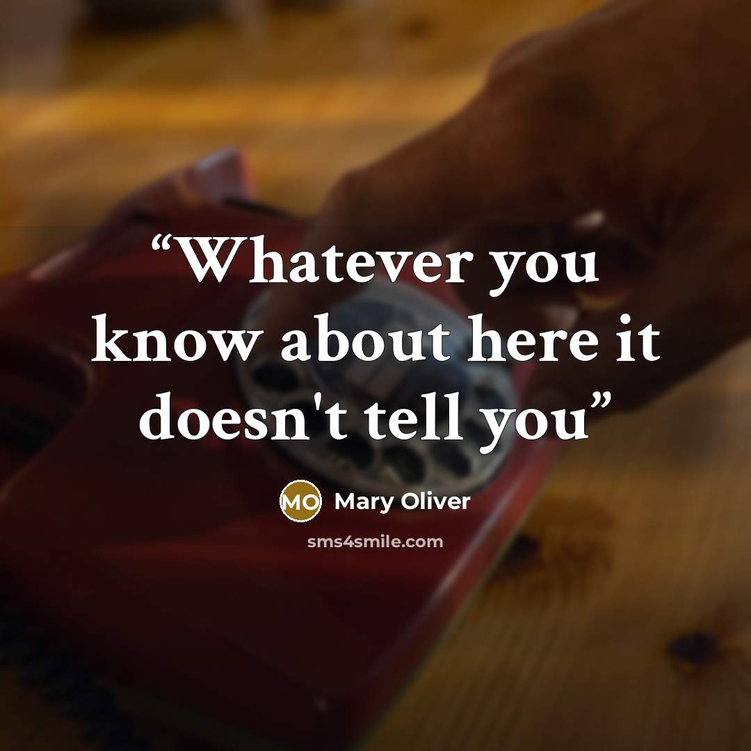 “Whatever you know about here it doesn't tell you” quote by Mary Oliver