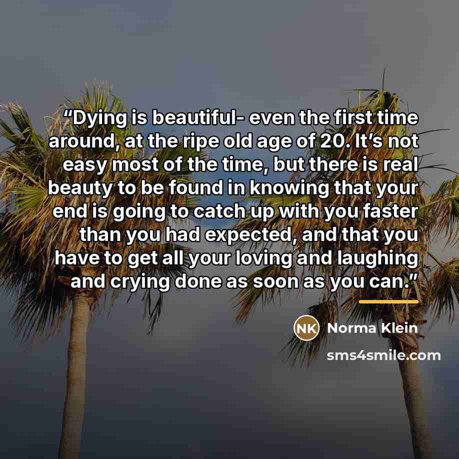“Dying is beautiful- even the first time around, at the ripe old age of 20. It’s not easy most of the time, but there is real beauty to be found in knowing that your end is going to catch up with you faster than you had expected, and that you have to get all your loving and laughing and crying done…” quote by Norma Klein