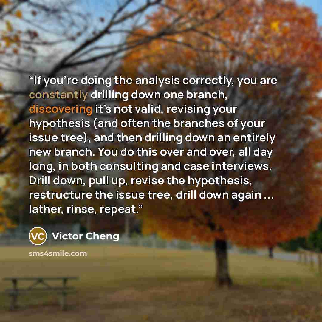 “If you’re doing the analysis correctly, you are constantly drilling down one branch, discovering it’s not valid, revising your hypothesis (and often the branches of your issue tree), and then drilling down an entirely new branch. You do this over and over, all day long, in both consulting and case…” quote by Victor Cheng