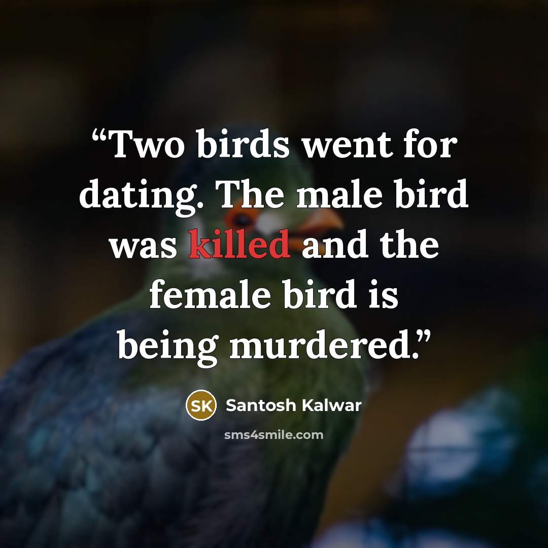 “Two birds went for dating. The male bird was killed and the female bird is being murdered.” quote by Santosh Kalwar