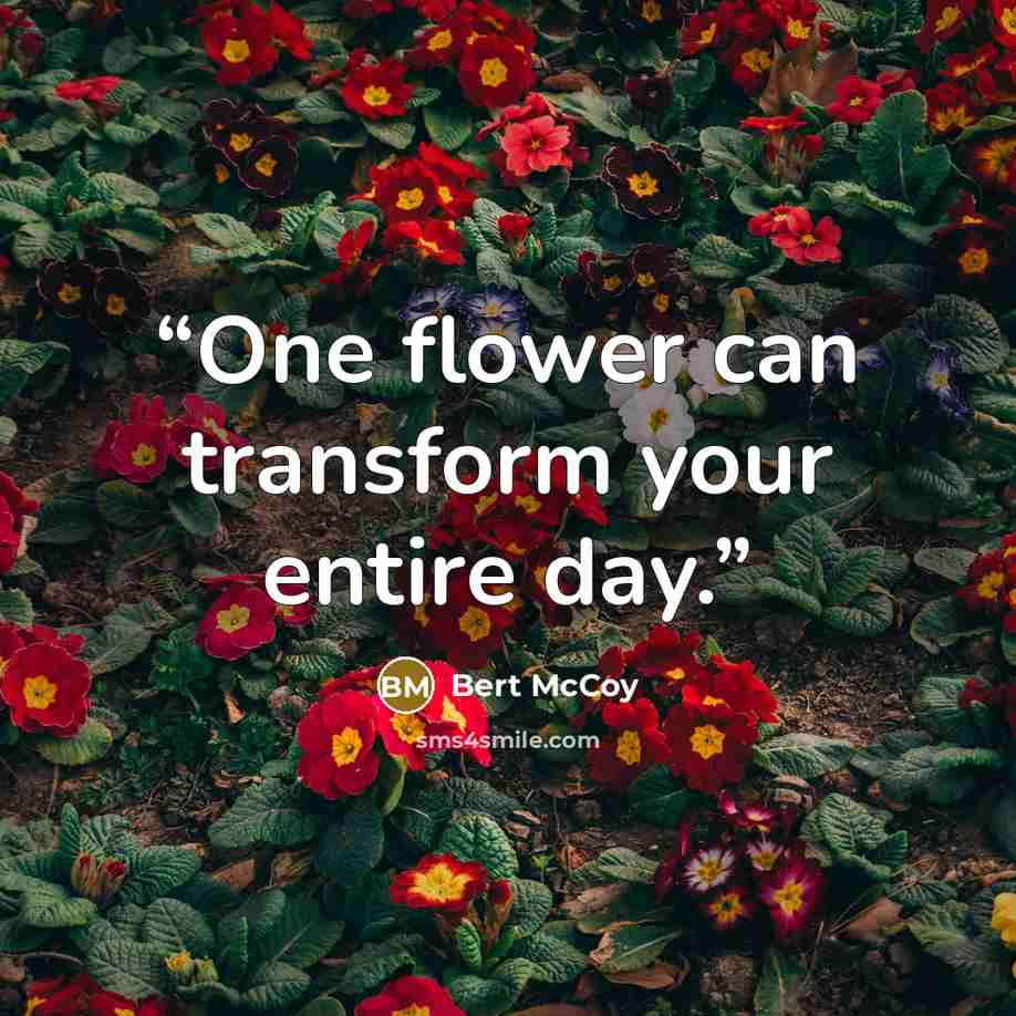 “One flower can transform your entire day.” quote by Bert McCoy