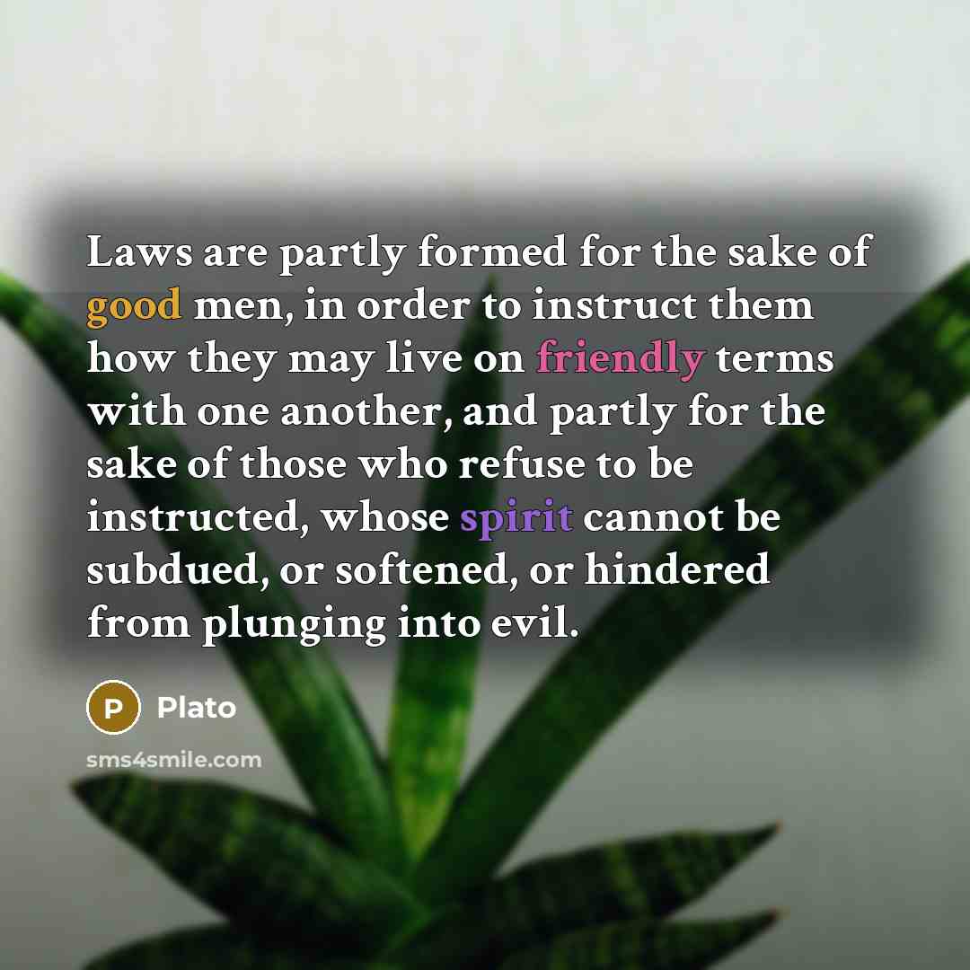 “Laws are partly formed for the sake of good men, in order to instruct them how they may live on friendly terms with one another, and partly for the sake of those who refuse to be instructed, whose spirit cannot be subdued, or softened, or hindered from plunging into evil.” quote by Plato