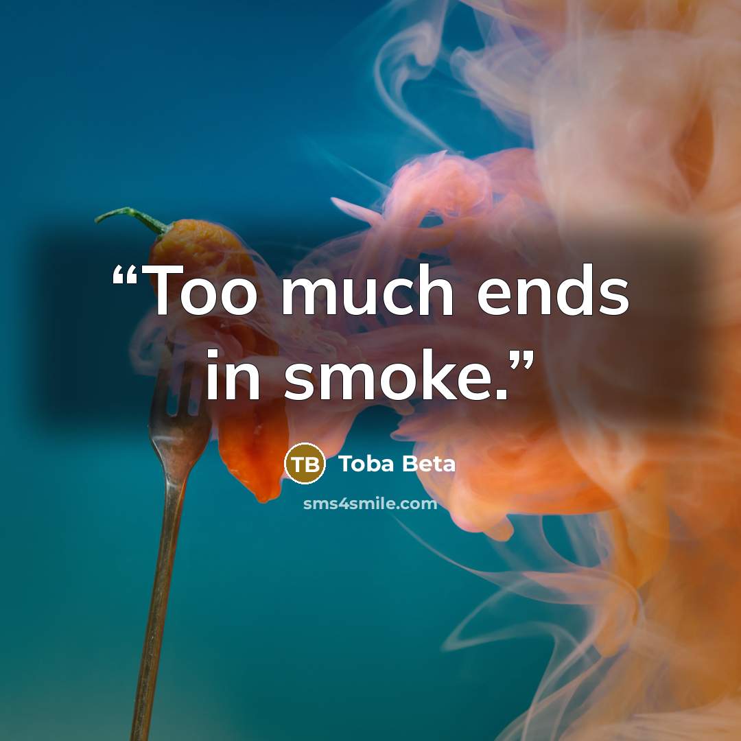 “Too much ends in smoke.” quote by Toba Beta