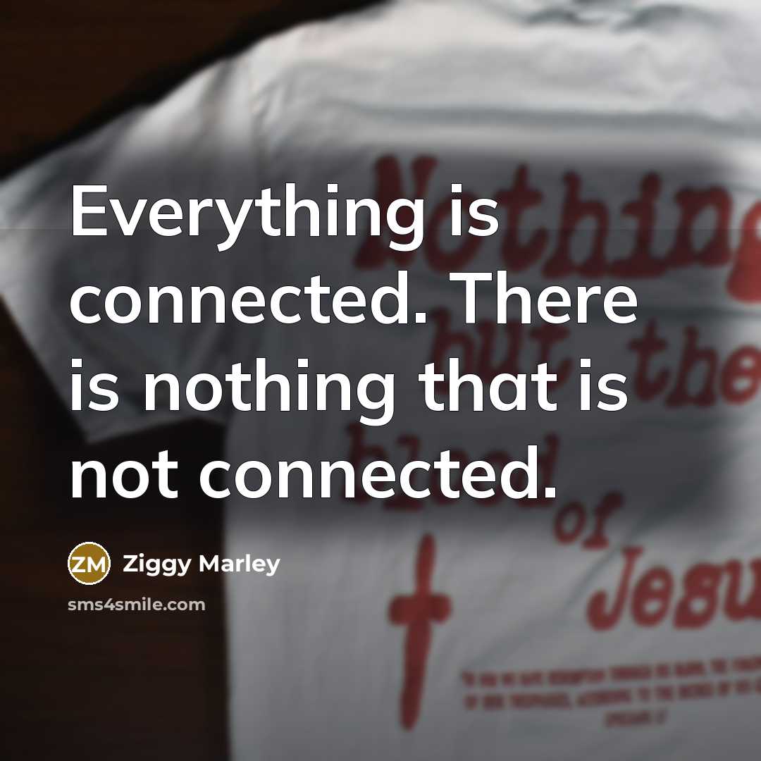 “Everything is connected. There is nothing that is not connected.” quote by Ziggy Marley
