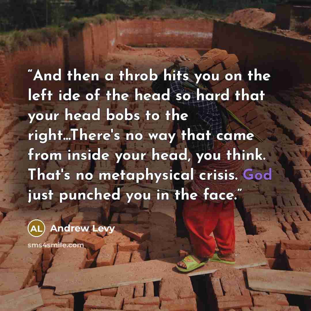 “And then a throb hits you on the left ide of the head so hard that your head bobs to the right...There's no way that came from inside your head, you think. That's no metaphysical crisis. God just punched you in the face.” quote by Andrew Levy