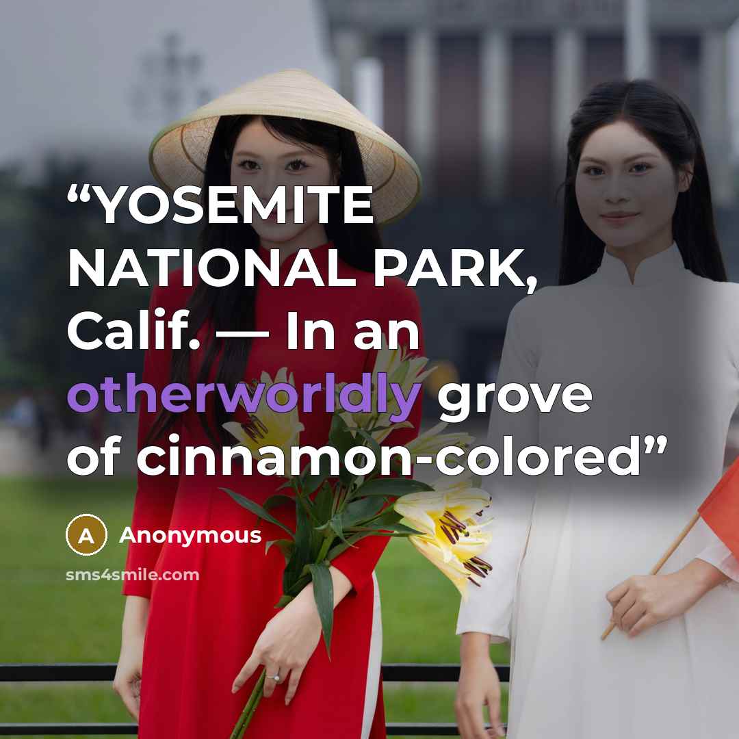 “YOSEMITE NATIONAL PARK, Calif. — In an otherworldly grove of cinnamon-colored” quote by Anonymous