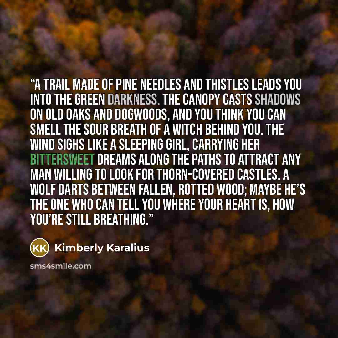 “A trail made of pine needles and thistles leads you into the green darkness. The canopy casts shadows on old oaks and dogwoods, and you think you can smell the sour breath of a witch behind you. The wind sighs like a sleeping girl, carrying her bittersweet dreams along the paths to attract any man…” quote by Kimberly Karalius