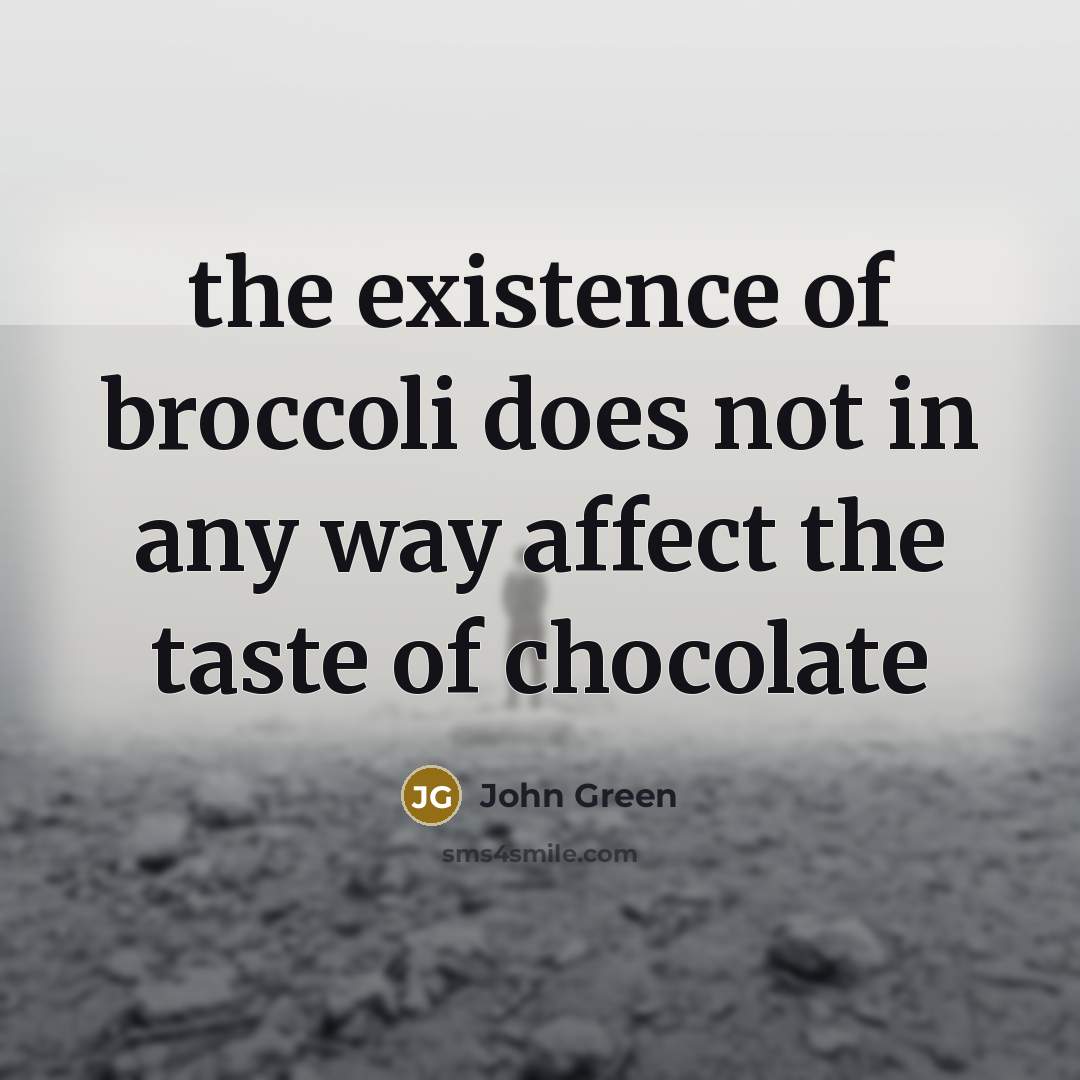 “the existence of broccoli does not in any way affect the taste of chocolate” quote by John Green