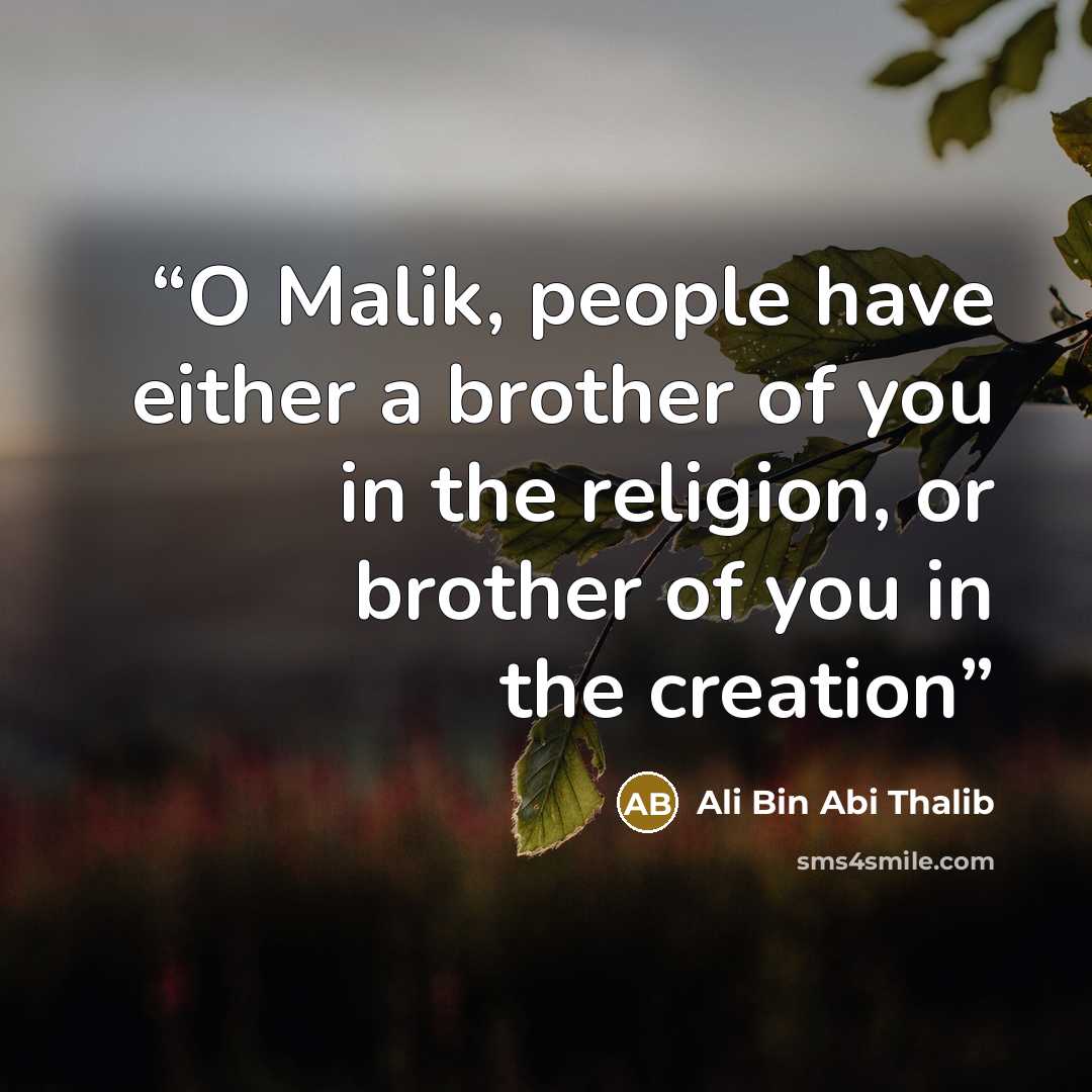 “O Malik, people have either a brother of you in the religion, or brother of you in the creation” quote by Ali Bin Abi Thalib