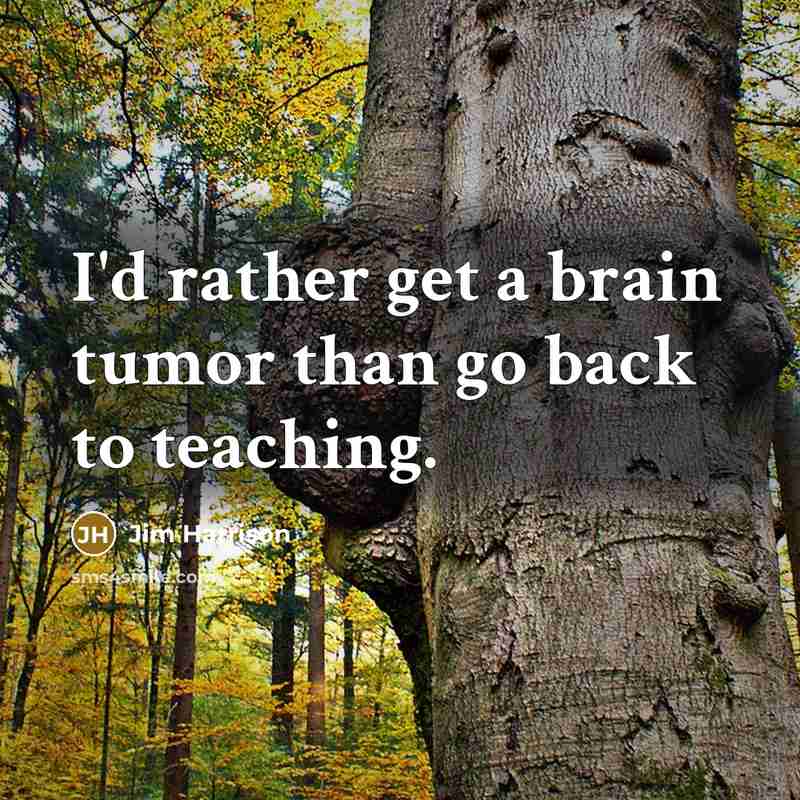 “I'd rather get a brain tumor than go back to teaching.” quote by Jim Harrison
